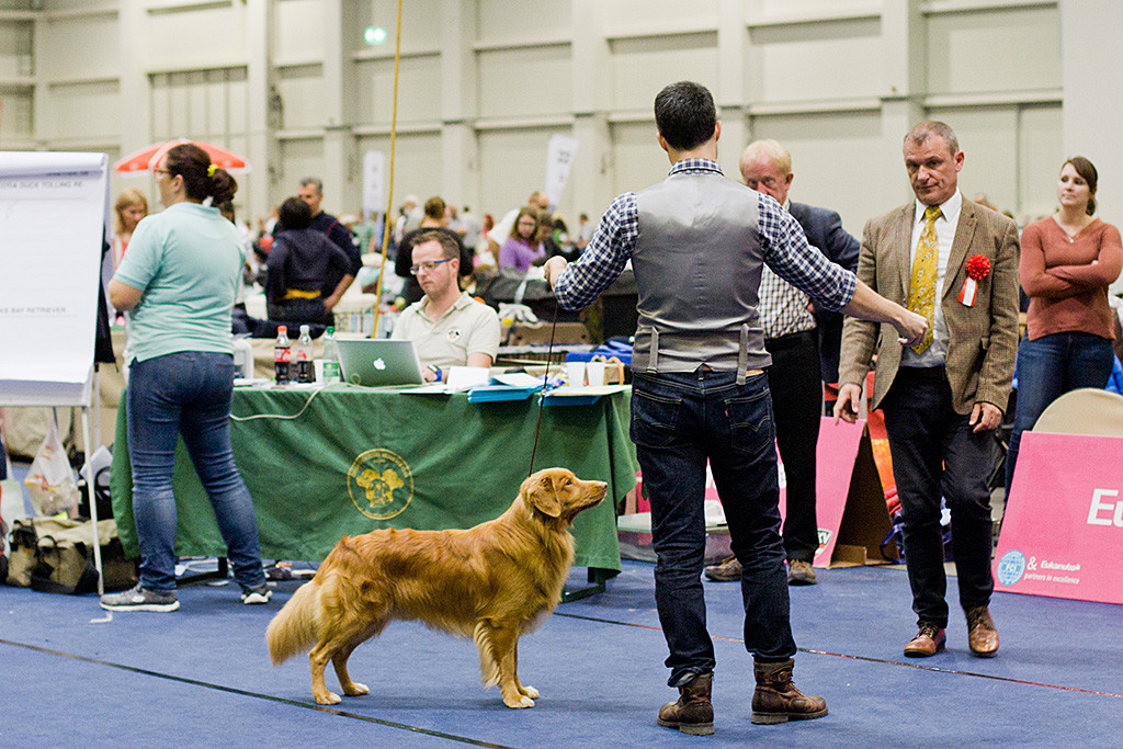 Edison steht vorm Richtertisch während der Richter auf Stephan zuläuft