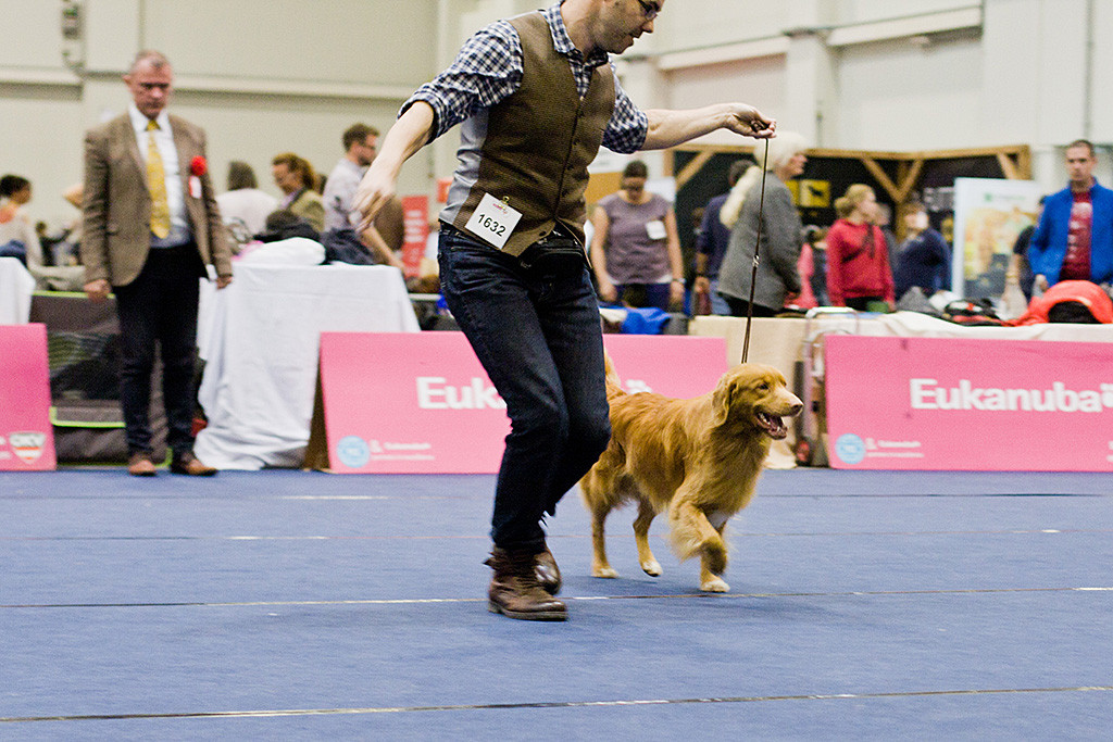 Edison bei der Gangwerkprobe vom Richter weg