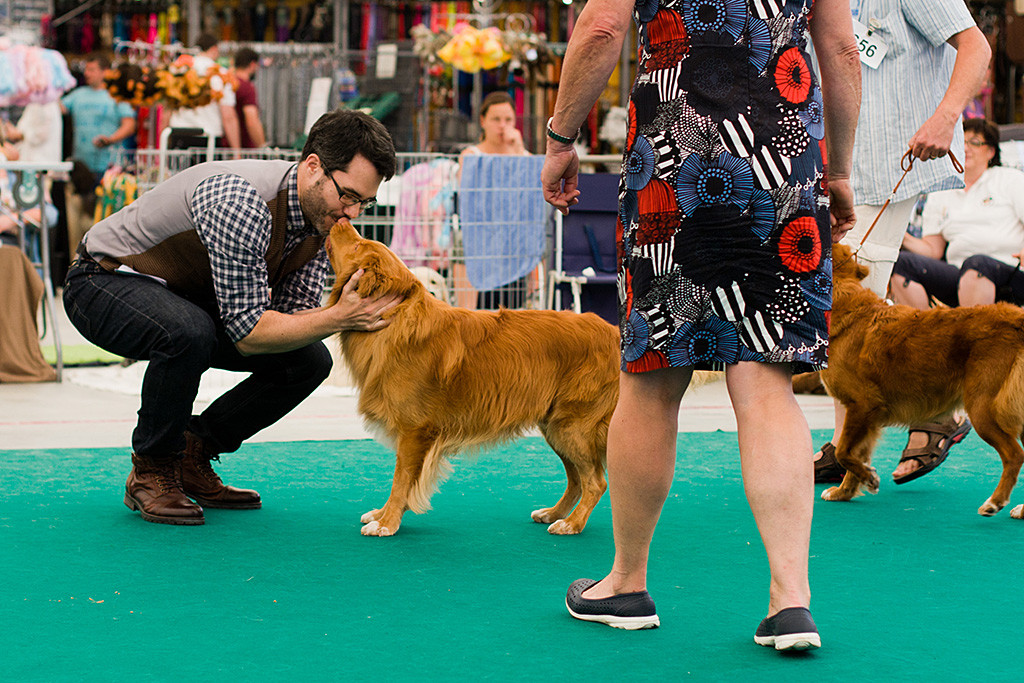Edison steht mit der besten Hündin im Ring und wird BOB, Stephan knutscht ihn dafür