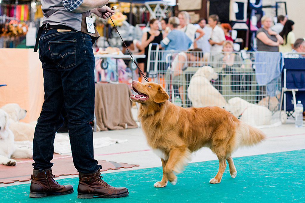Edison läuft zu Stephan aufblickend auf ihn zu und lächelt dabei fröhlich