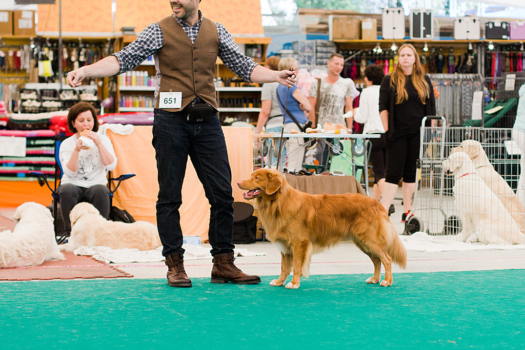 Edison steht vor Stephan im Ring und präsentiert sich