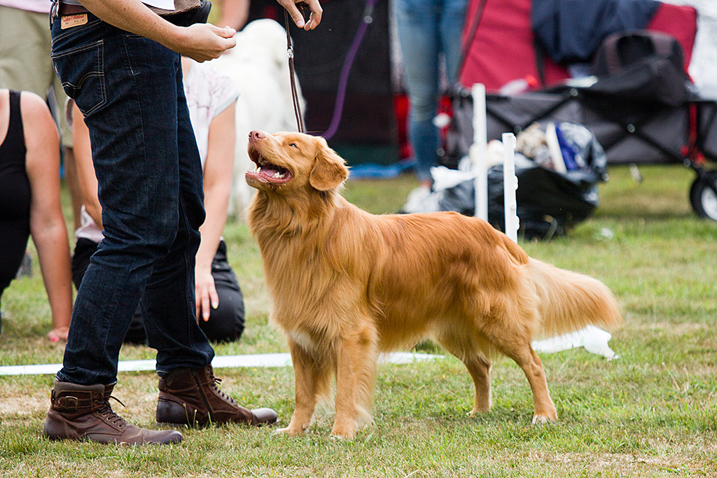 Edison steht vor Stephan in Pose und lächelt dabei