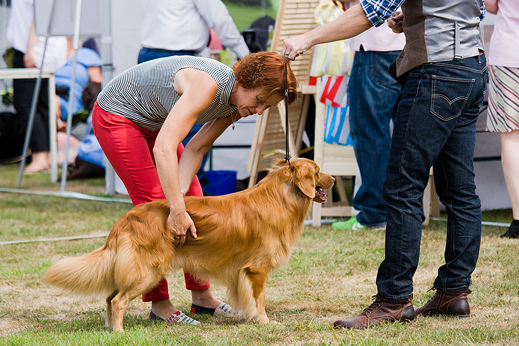 Edison steht vor Stephan und wird von der Richterin im Lendenbereich abgetastet
