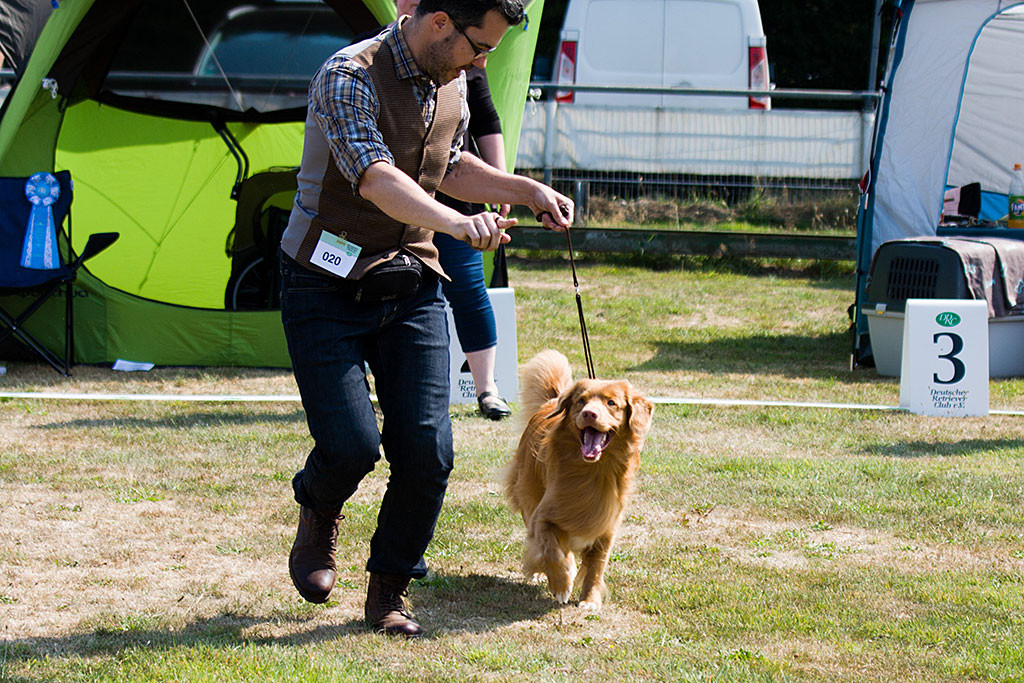 Edison läuft fett grinsend an Stephans Seite auf der Geraden während die Richterin sie dabei beobachtet