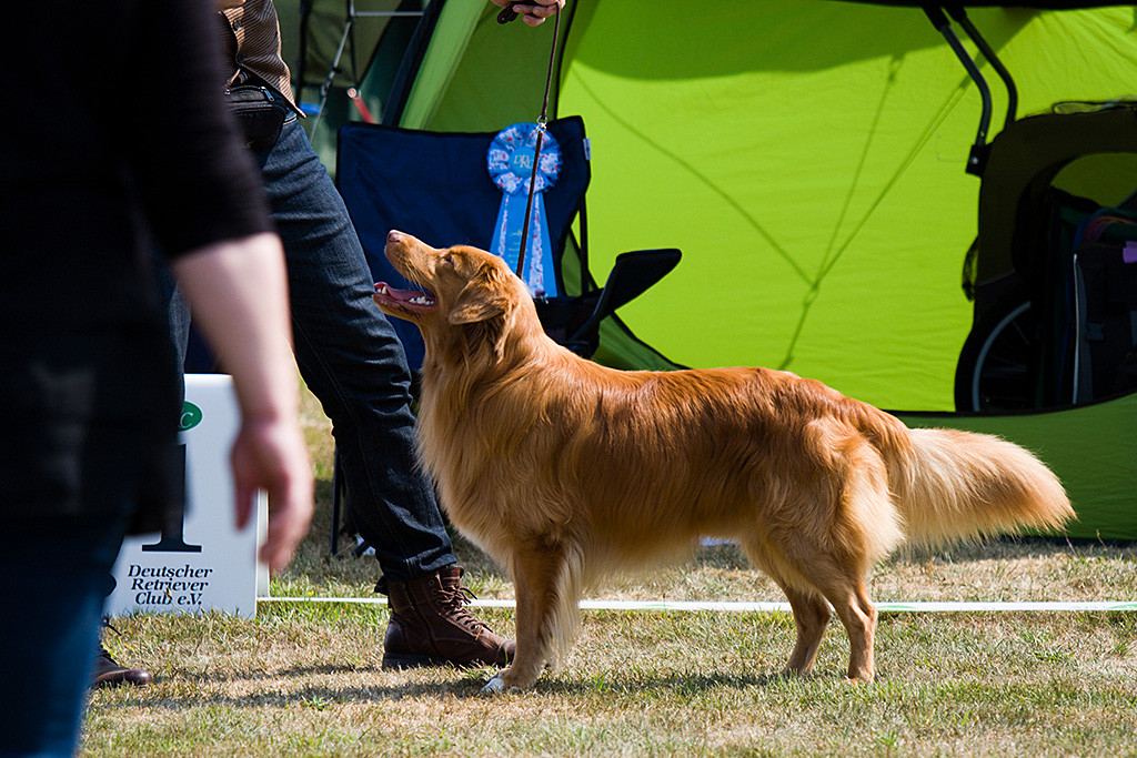 Edison lächelt in Stehpose vor der Richterin Stephan an