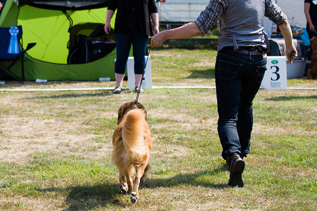 Edison läuft an Stephans Seite auf die Richterin zu