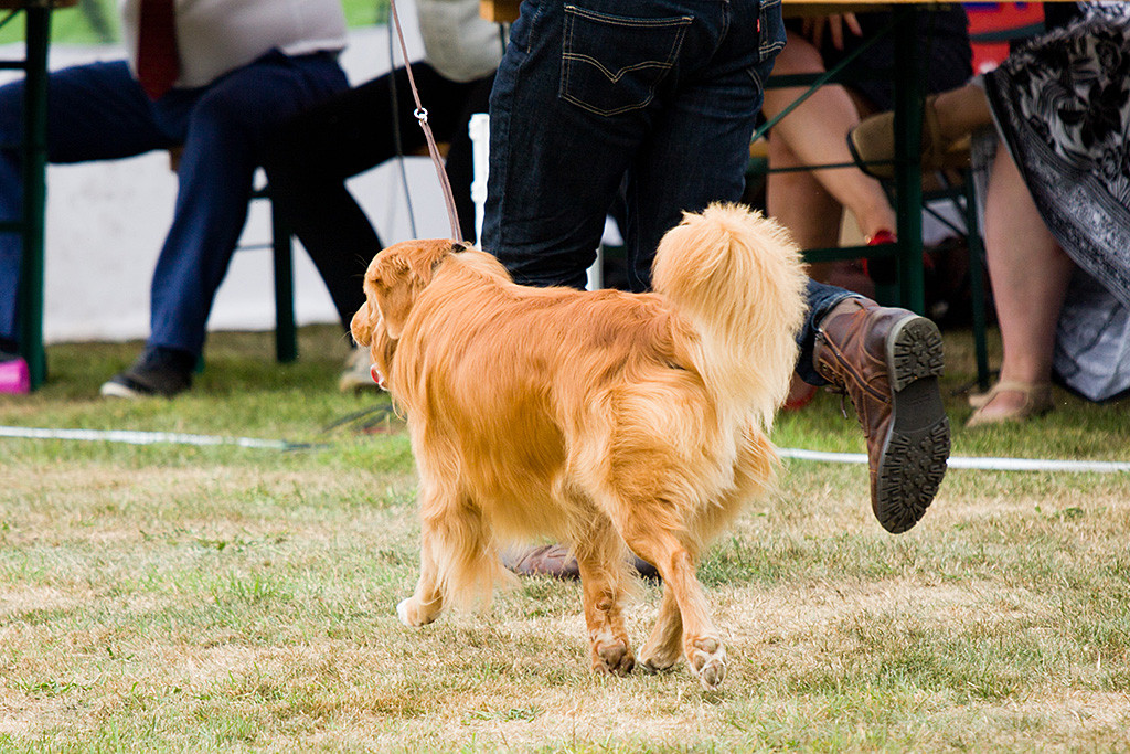 Edison läuft an Stephans Seite durch den Ehrenring