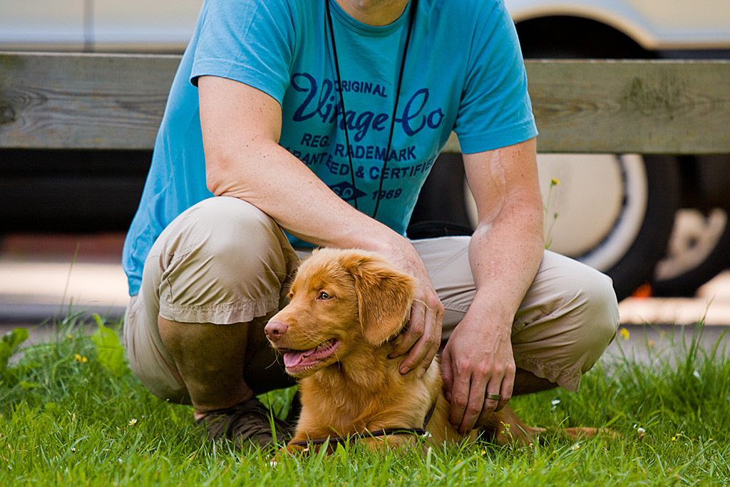 Edison liegt entspannt vor Stephan
