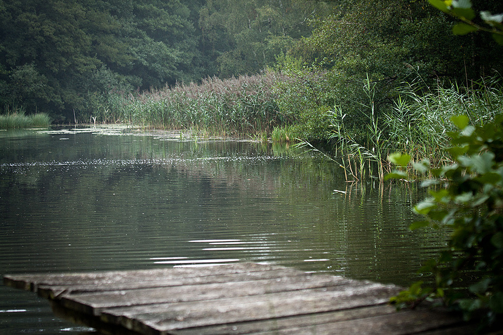 Das Wassergelände bei Gut Sunder