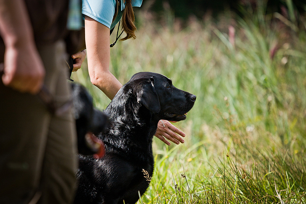 Katja ist kurz davor Elli zu schicken, im Vordergrund steht Simone mit Henry