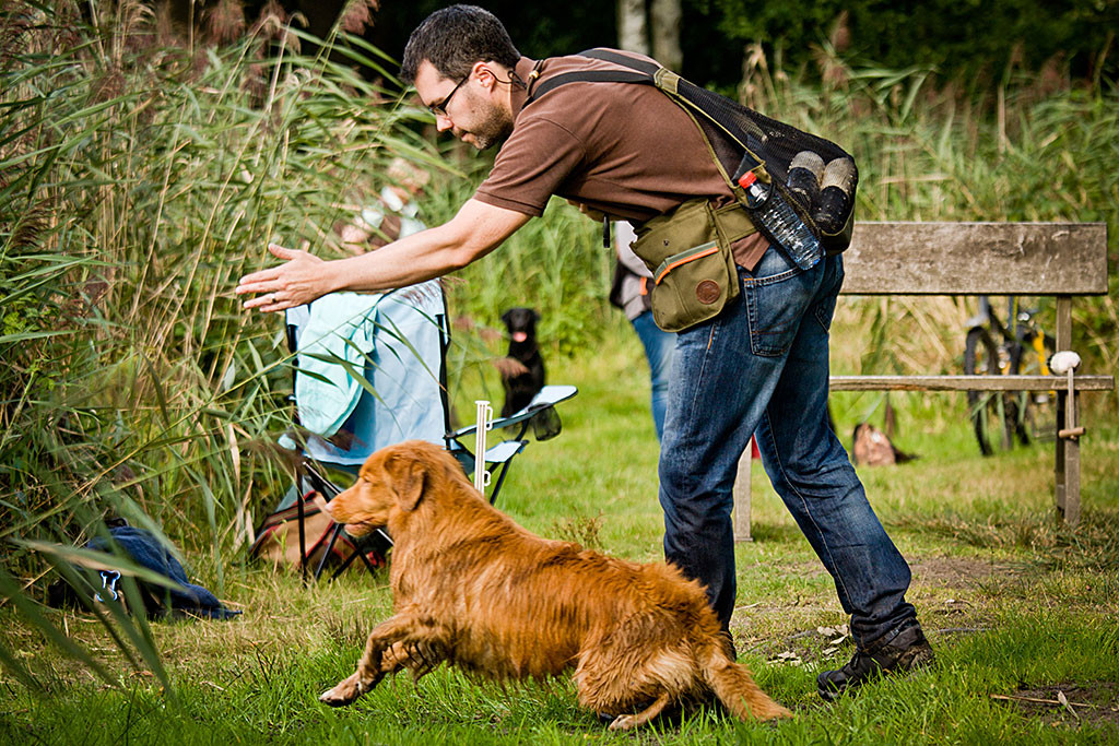 Edison startet auf Stephans Signal