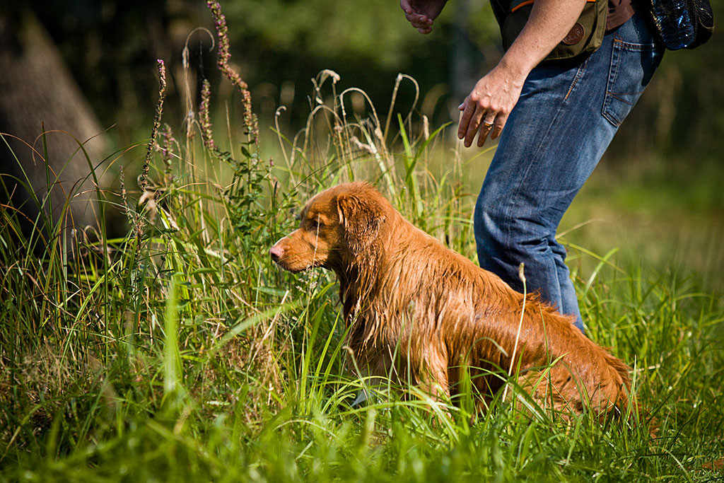 Edison fokussiert die Markierung vor sich kurz bevor Stephan ihn losschickt