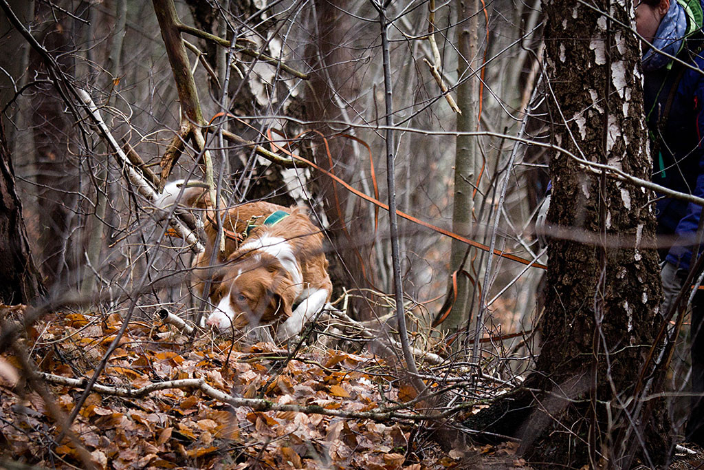 Snö bei der Schweißarbeit