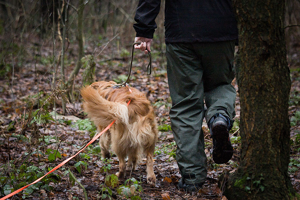 Edison schon in voller Montur wird von Stephan zum Startpunkt geführt