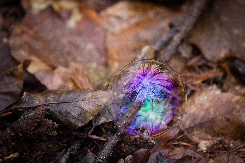 Eine Seifenblase auf dem mit braunen Blättern belegten Waldboden