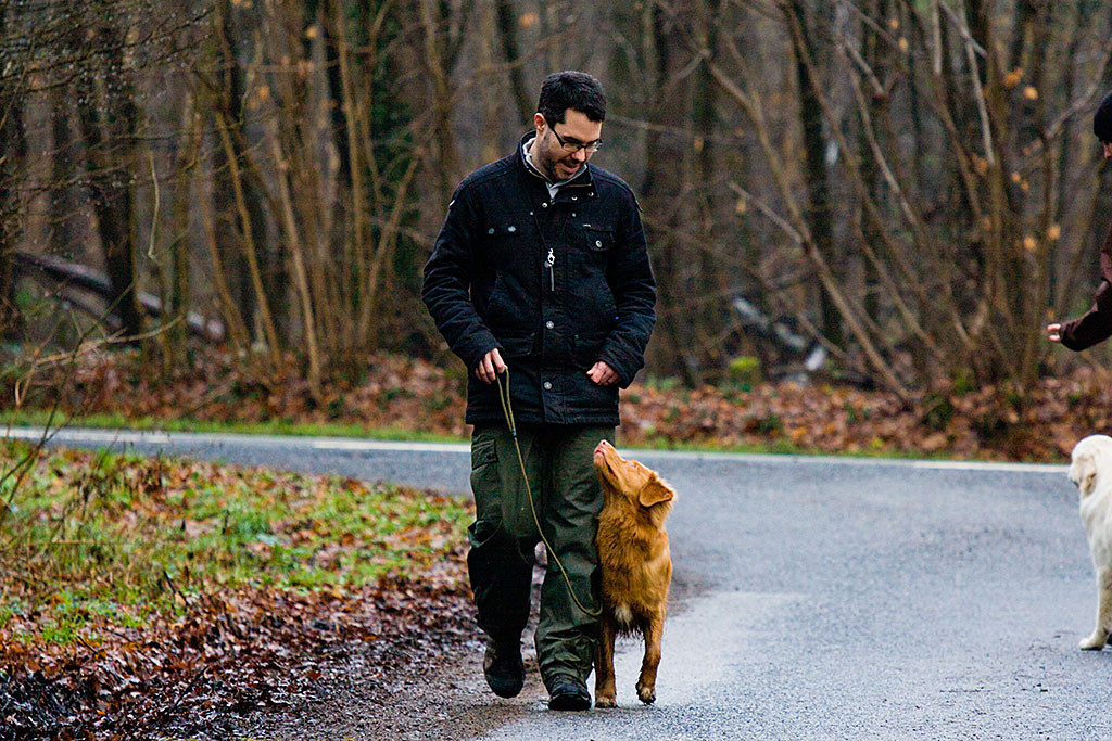 Edison läuft wunderbar bei Fuß und schaut zu Stephan hoch