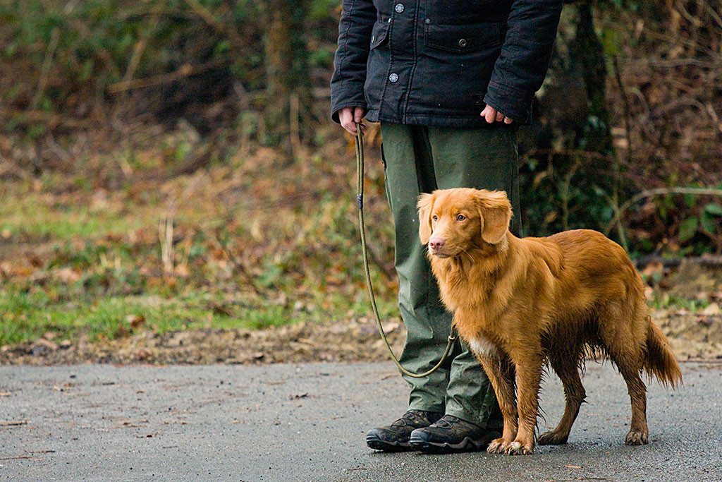 Edison steht neben Stephan und schaut gespannt nach vorn