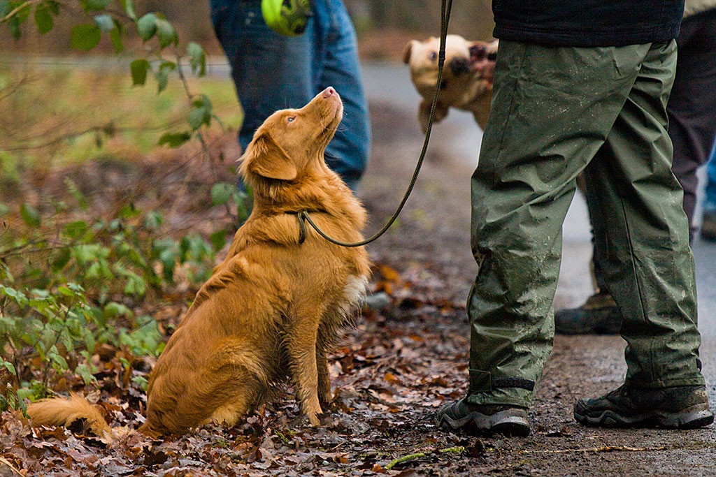 Edison schaut hoch zu Stephan, der vor ihm steht