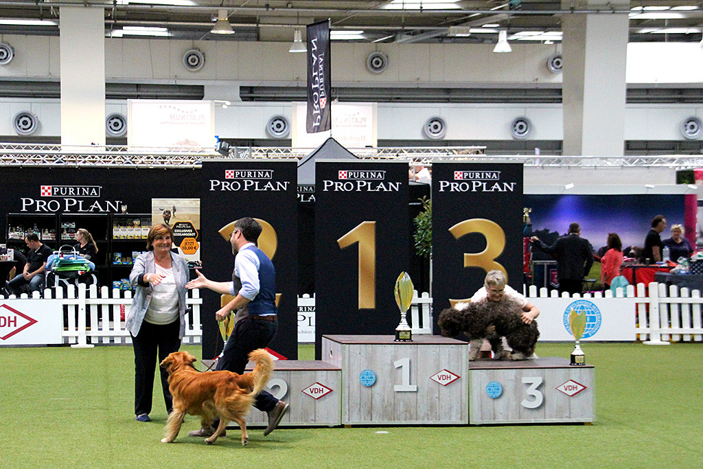 Edison läuft an Stephans Seite auf die Gruppenrichterin zu, der sich bei ihr per Handschlag für den zweiten Platz bedankt