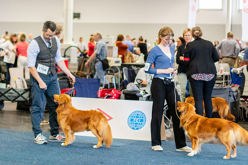 Newton steht aufgereiht mit dem Gewinner der Offenen Klasse im Ring
