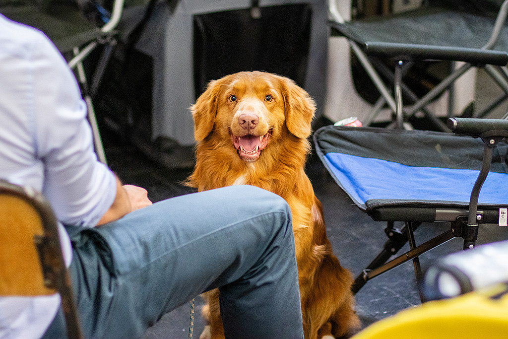 Newton sitzt im Wartebereich zwischen den Stühlen und lächelt in die Kamera