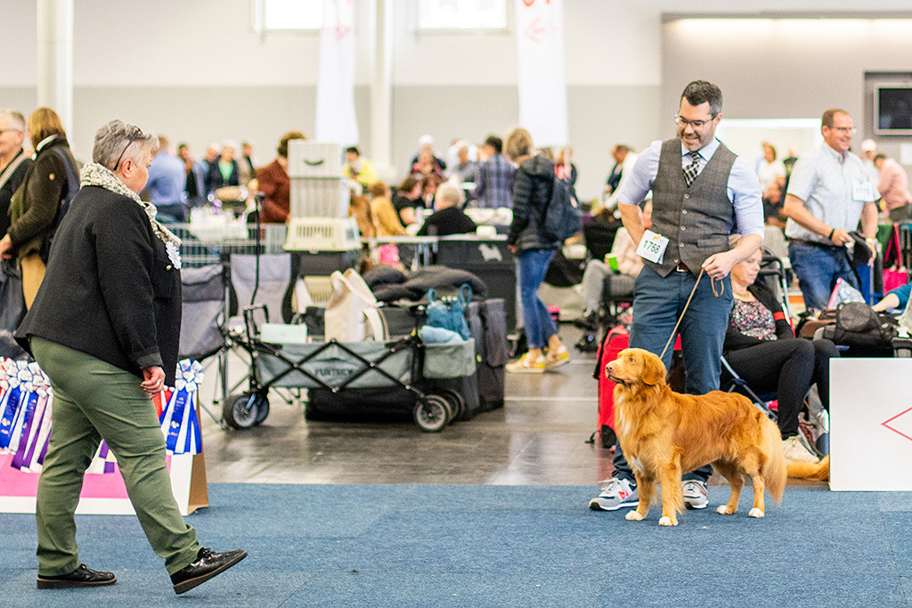 Newton steht seitlich an Stephan Seite und schaut der Richterin dabei direkt ins Gesicht
