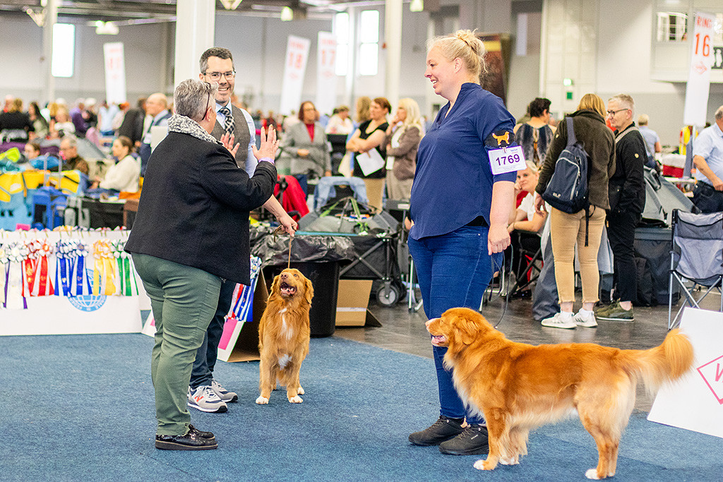 Newton steht zusammen mit dem anderen Championrüden im Ring während die Richterin ihre Entscheidung erläutert