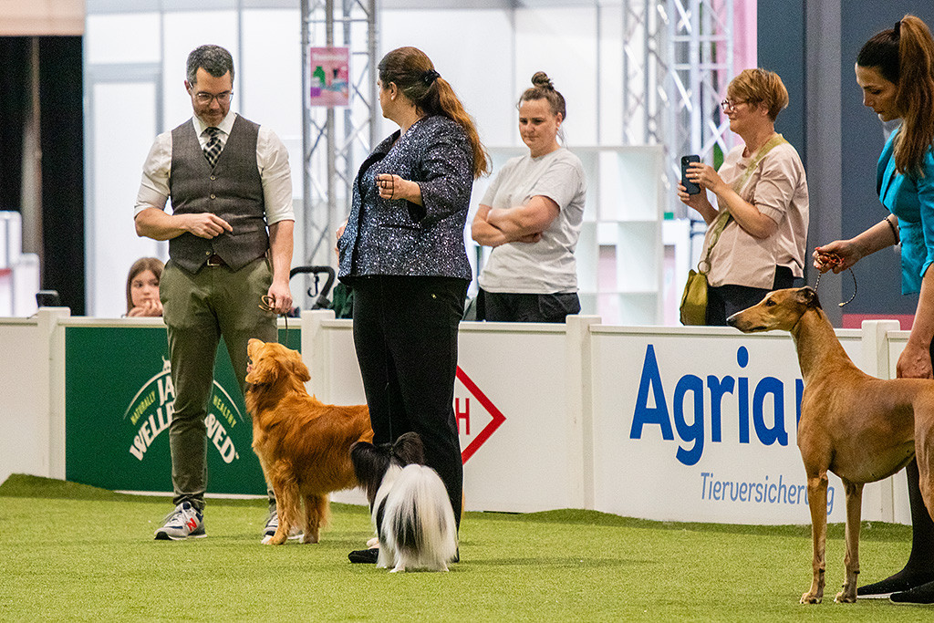Newton steht in einer Reihe mit dem Papillon, Gewinner der Gruppe 9, und dem Greyhound, Gewinner der Gruppe 10
