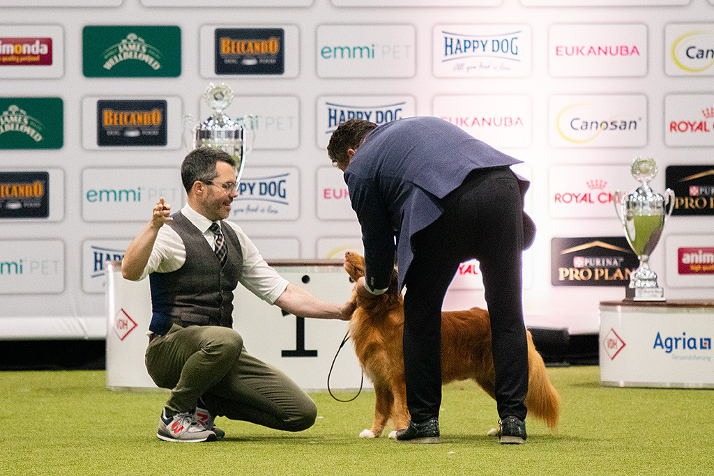 Newton wird vom Best in Show Richter aus den Niederlanden abgetastet, Stephan kniet daneben