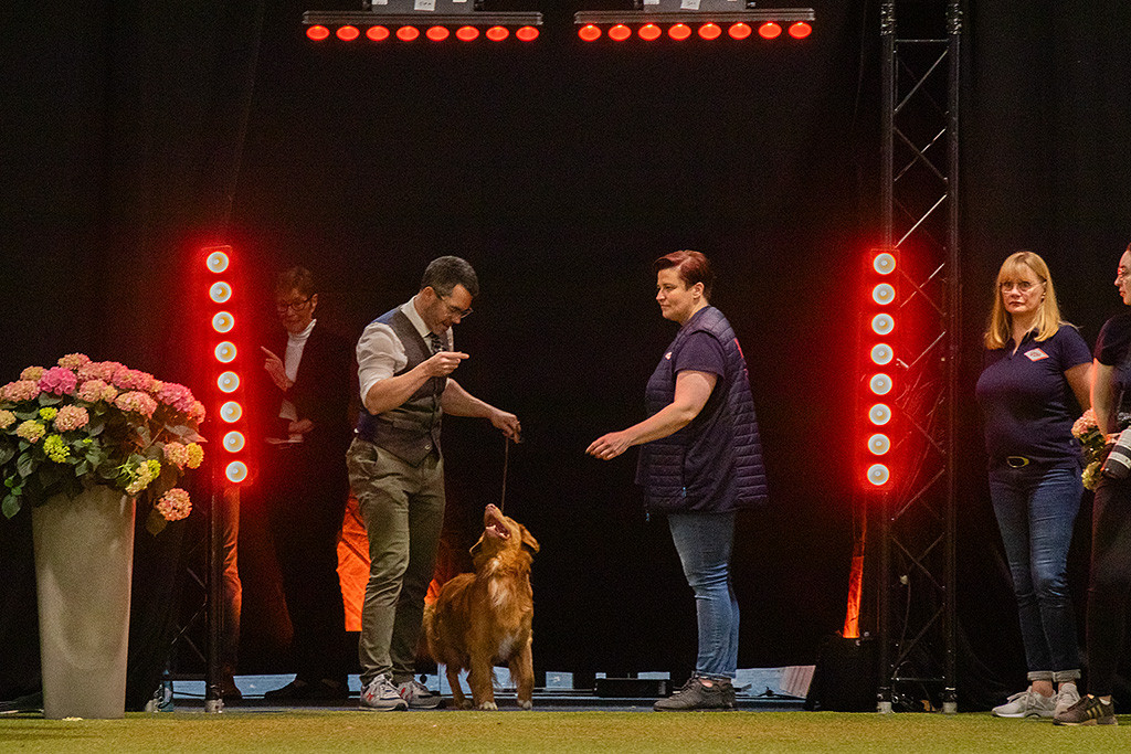 Newton steht an Stephans Seite kurz vorm Einlaufen in den Ehrenring