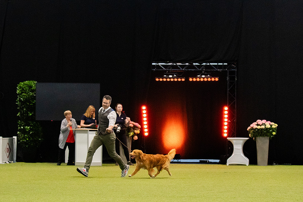 Newton zeigt sein tolles Gangwerk an Stephans Seite im großen Ehrenring