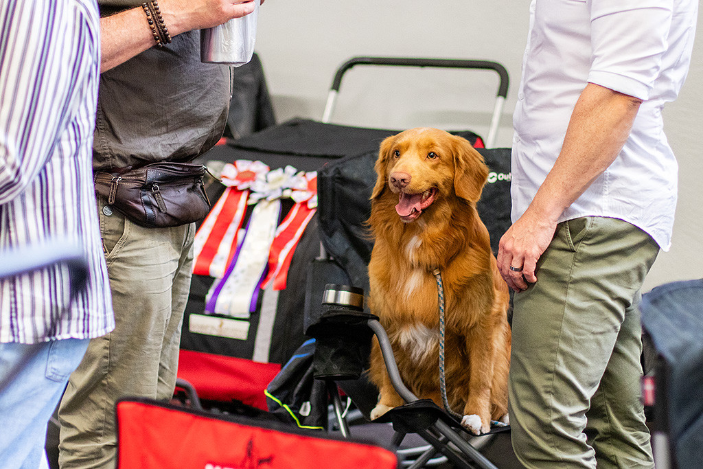 Newton sitzt lächelnd auf dem Stuhl und würde gern wieder in den Ring