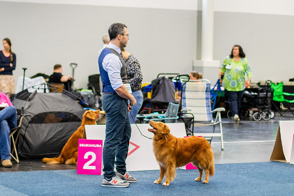 Edison steht vor Stephan und schaut lächelnd zu ihm hoch
