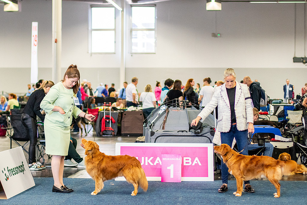Edison steht frontal vor Ann-Kathrin zusammen mit dem Junghund
