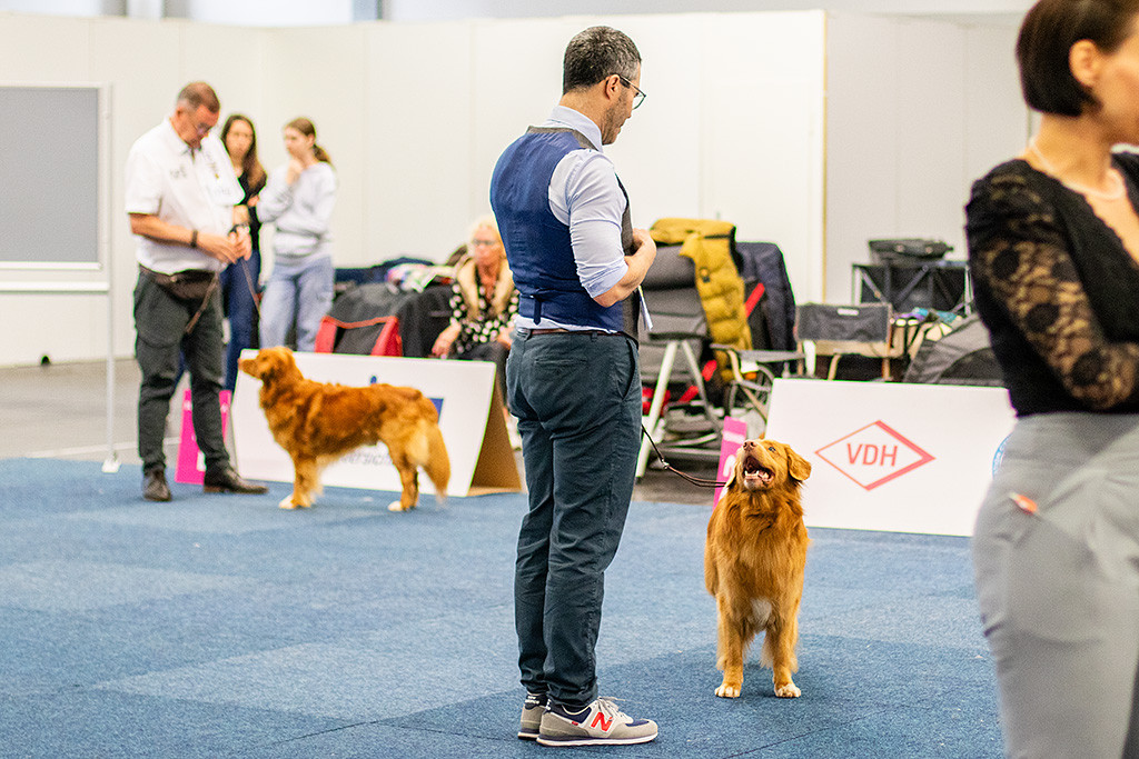 Edison steht seitlich vor Stephan und lächelt zu ihm hoch