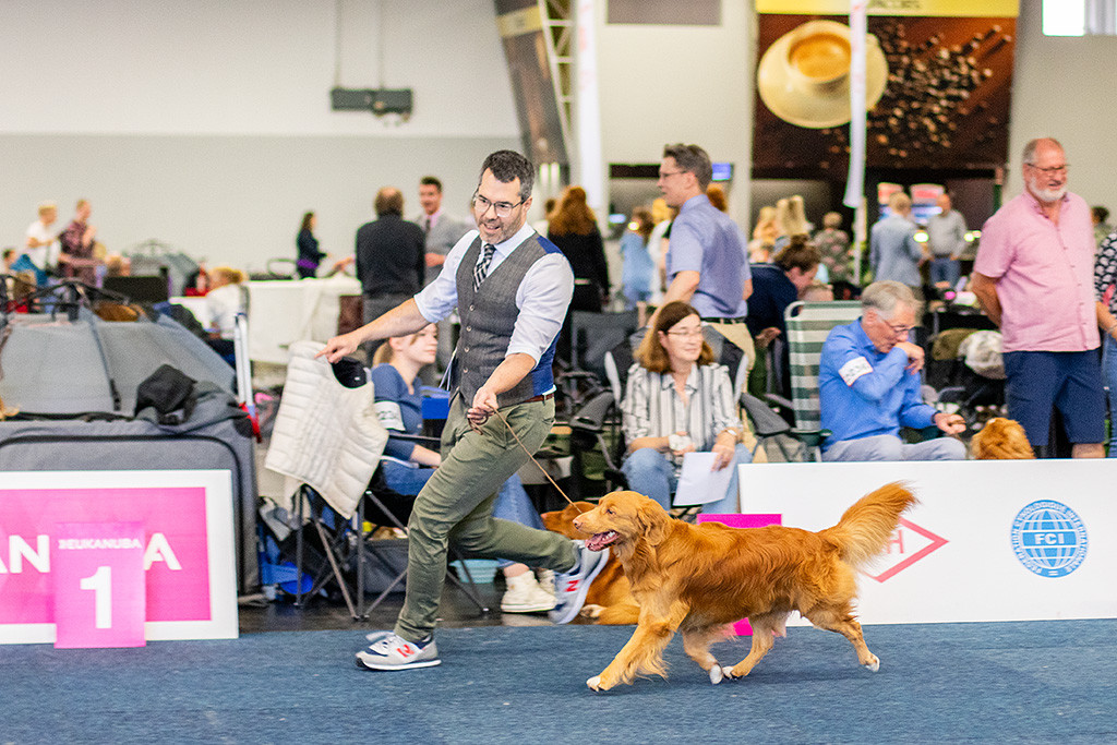 Newton fliegt im perfekten Kreuzgang an Stephans Seite durch den Ring