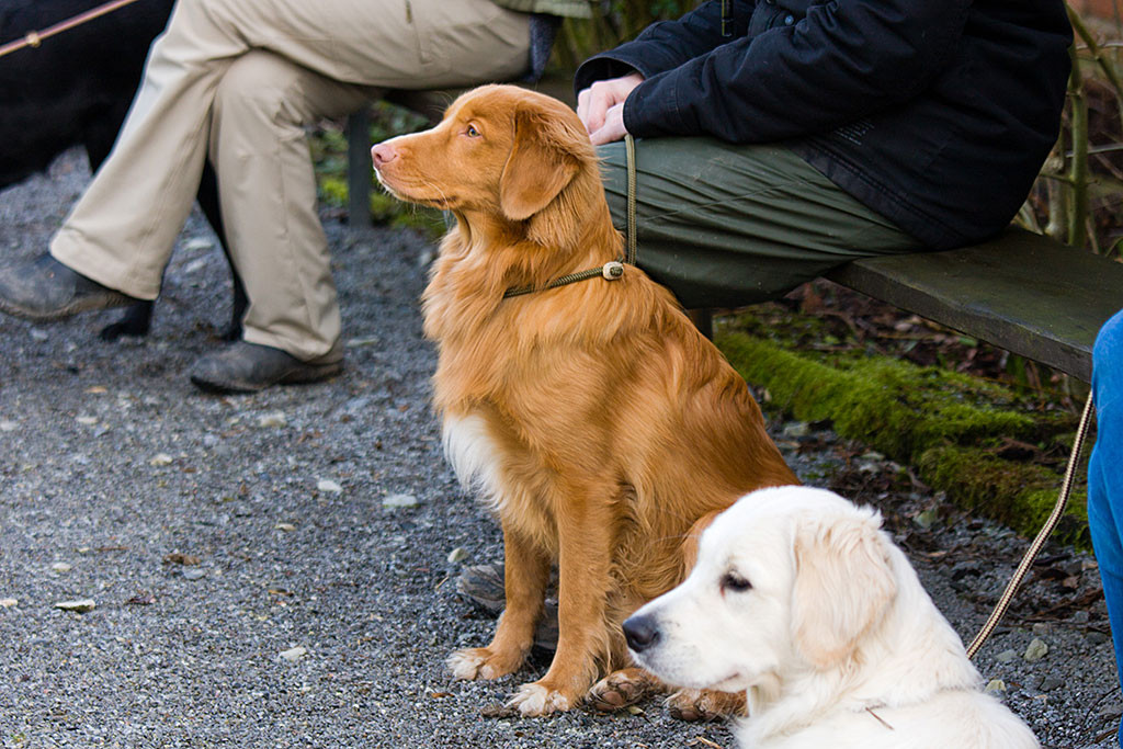 Edison sitzt neben Stephans Bein, der sich mit den anderen auf eine Bank gesetzt hat