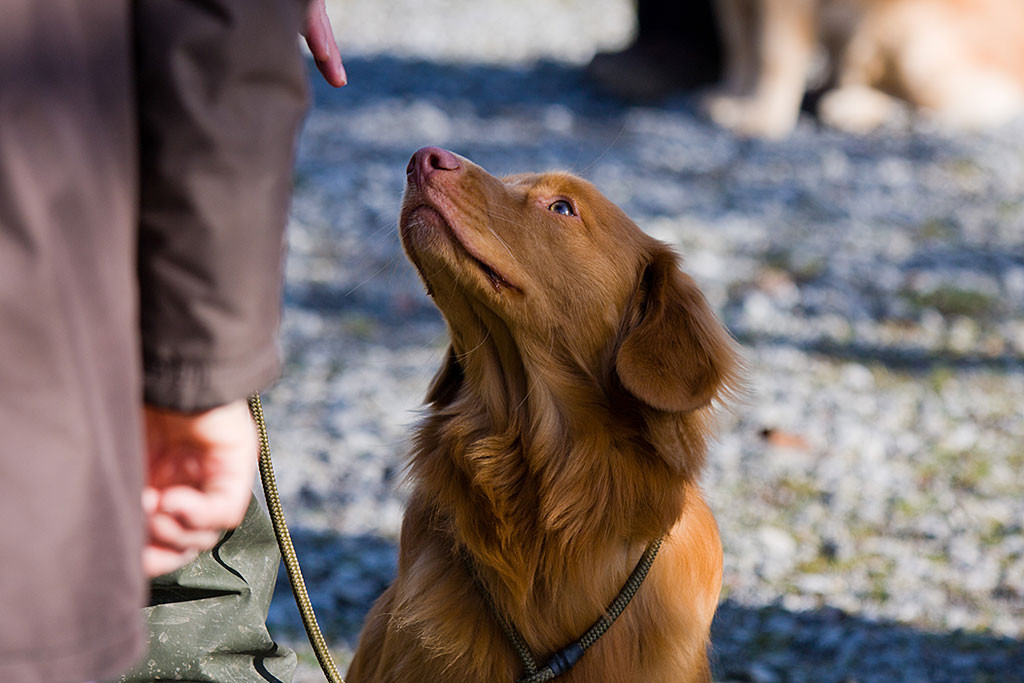 Edison bekommt von Stephan das Handzeichen zum Sitzenbleiben während er sich mit seinem Gegenüber mit Handschlag begrüßt