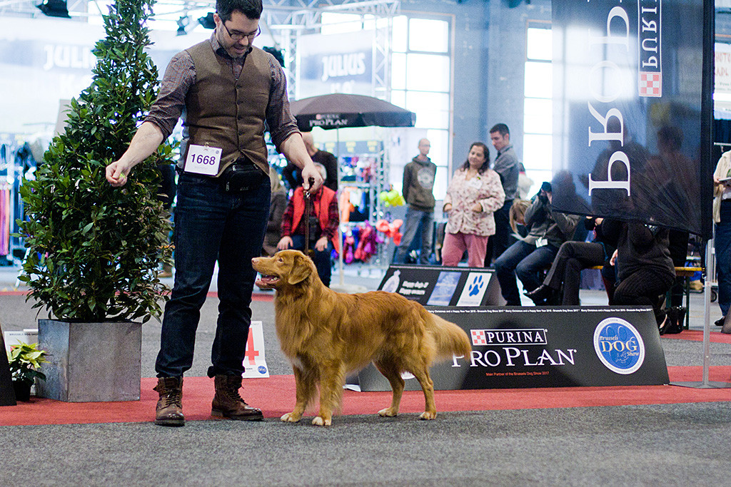 Edison schmeißt sich neben Stephan in Pose