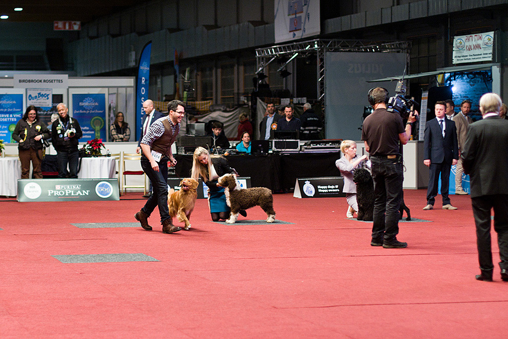 Edison und Stephan freuen sich wie Bolle und laufen in Richtung Podium