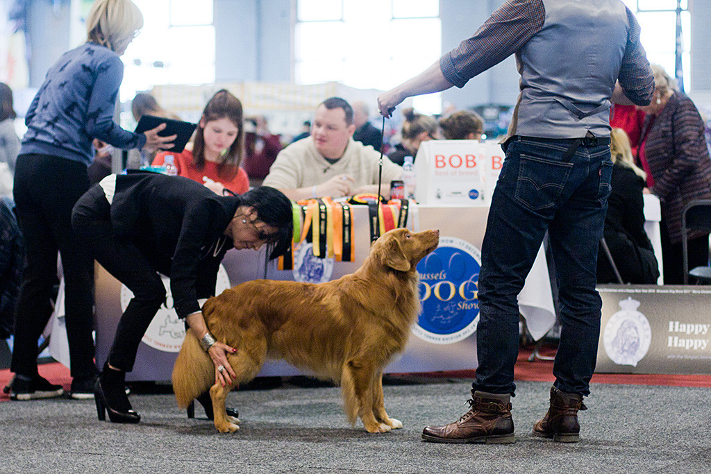 Edison wird von der Richterin abgetastet