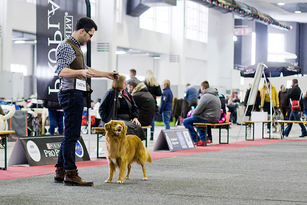 Edison steht vor Stephan und lächelt dabei zur Seite in Richtung des Richters