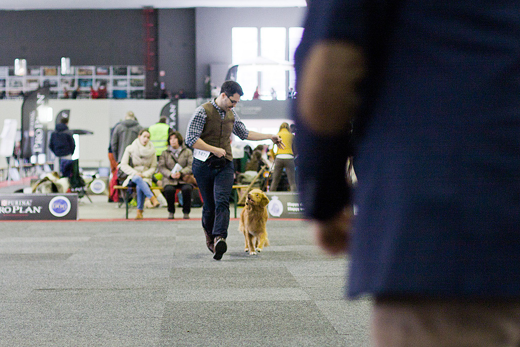 Edison läuft an Stephans Seite auf den Richter zu