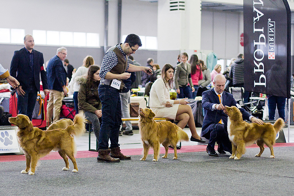 Edison steht zwischen »Fire Shadow Grateful Platter Maximum« und »JavaHill's Rider In The Sky«
