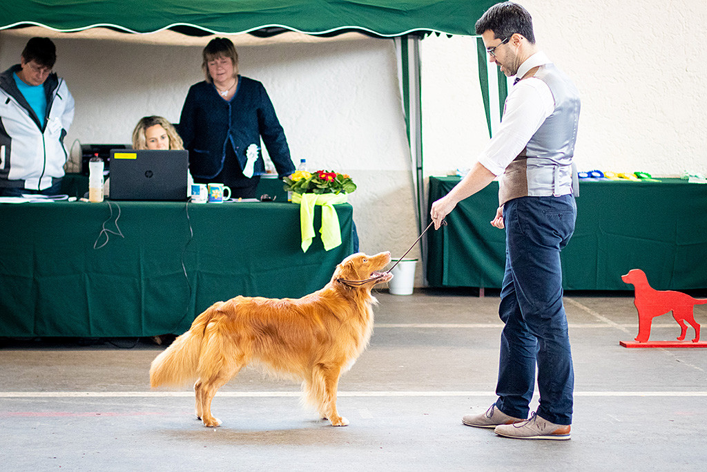 Edison steht gemeinsam mit Stephan vor dem Richtertisch, hinter dem die Richterin ihren Bericht diktiert