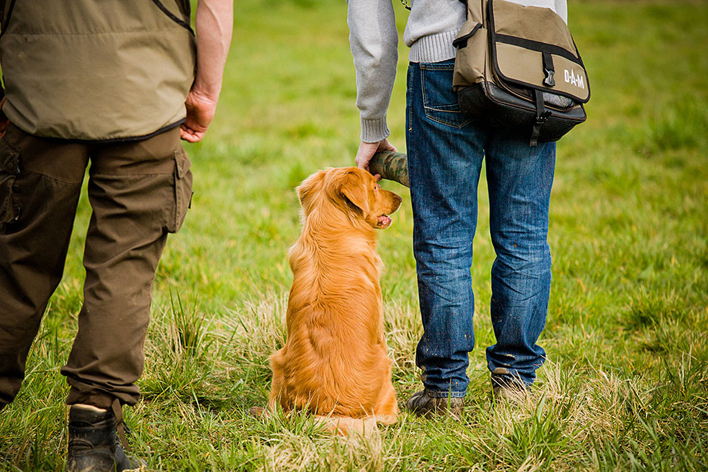 Edison hat den Dummy ausgegeben