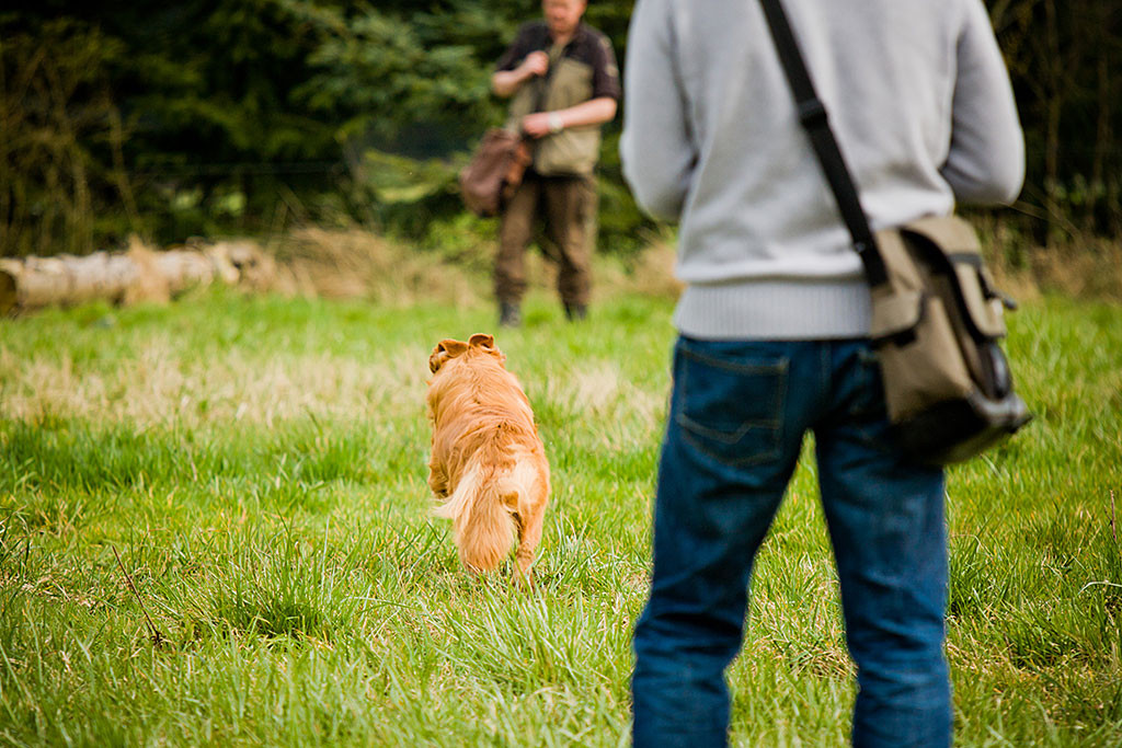 Edison läuft voran über die Brache