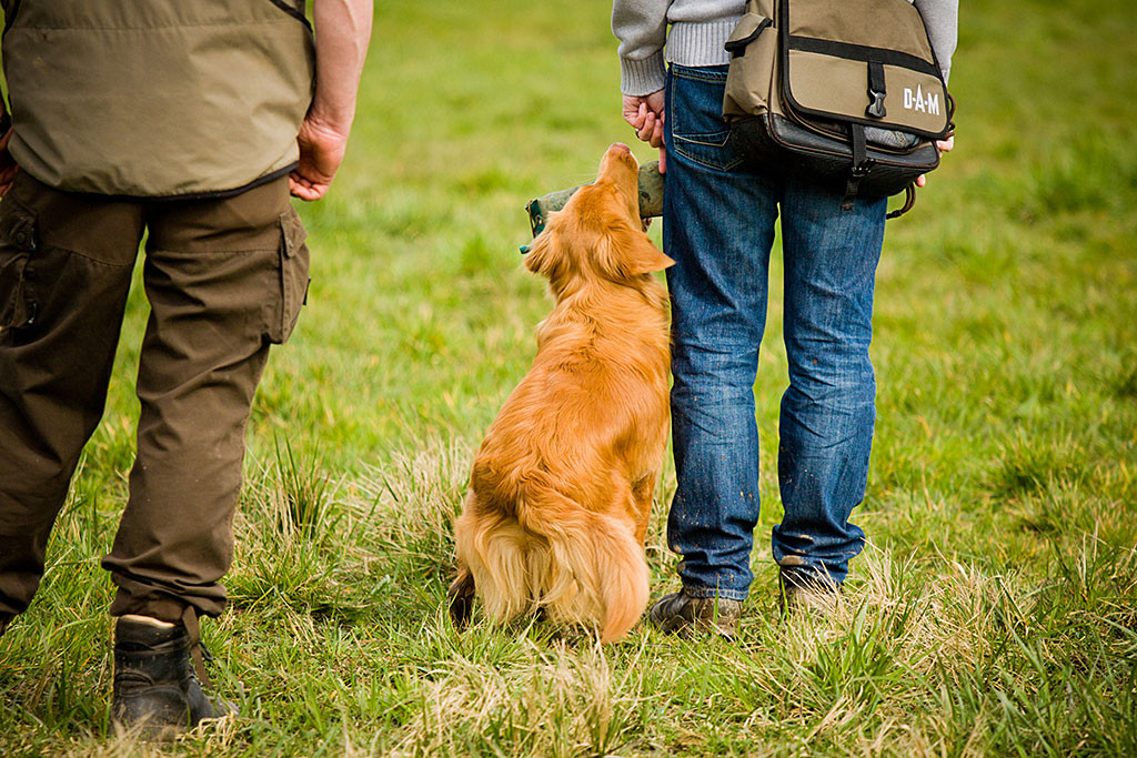 Edison setzt sich mit dem Dummy im Maul neben Stephan