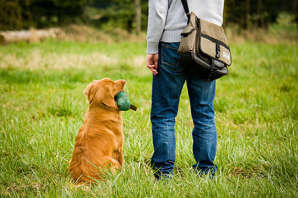 Edison hat sich mit dem Dummy im Maul neben Stephan gesetzt
