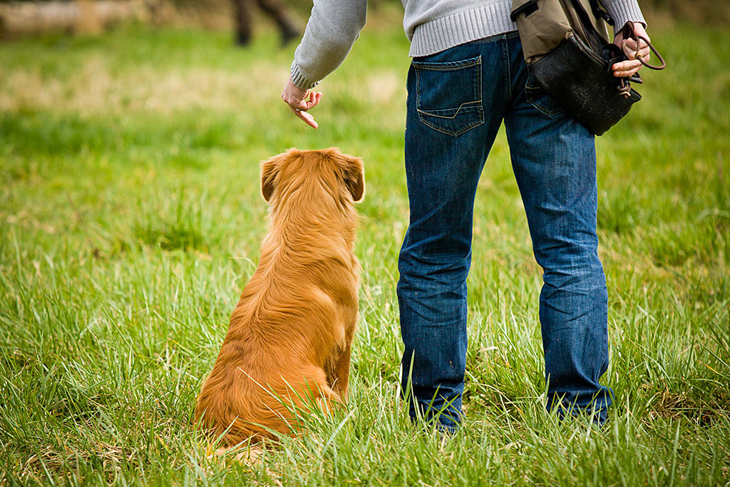Edison wird von Stephan zum nächsten Blind-Apport ausgerichtet